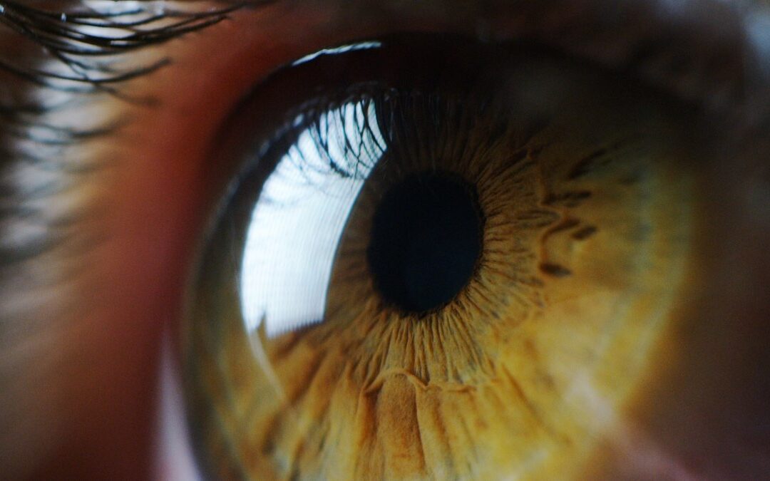 Eye Health